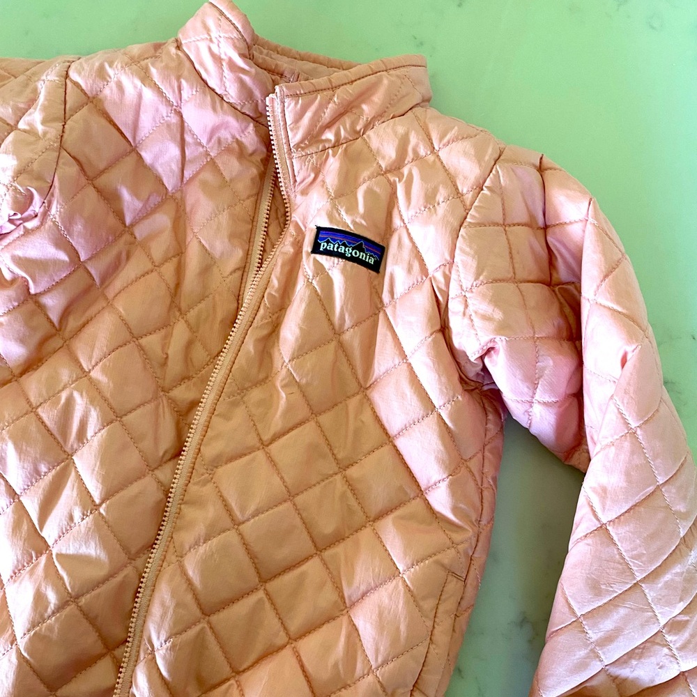 Patagonia Nanopuff